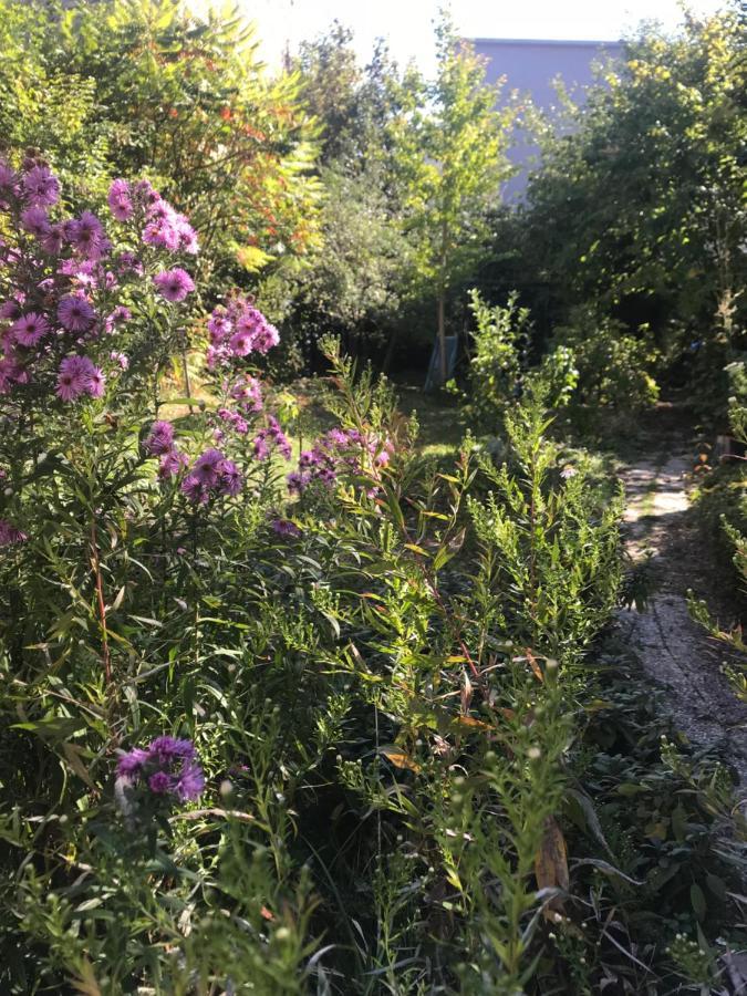 Un Jardin Dans La Ville Bed & Breakfast Châlons-en-Champagne Екстериор снимка